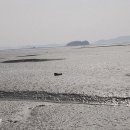 섬옷점 Daum카페