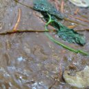 선비묵집 이미지