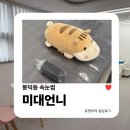미대언니들애견샵 | 봉덕동속눈썹 | 대구 미대언니에서 브라질리언 왁싱 받아본 솔직 후기
