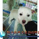 천보산로 이미지
