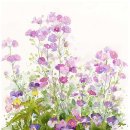 서정적 풍경 이미지