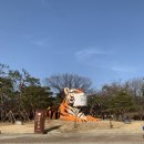 아기와 갈만한 곳, 서울대공원에서 사자와 호랑이 보고오기!