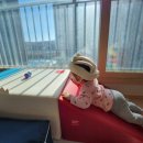 GYM 플레이 그라운드 이미지