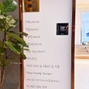 JOO 강아지미용실 | 분당 미용실 정자동 머리 잘하고 민생쿠폰 가능한 순수