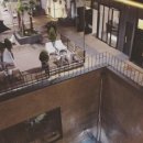 레이디벅스 이미지