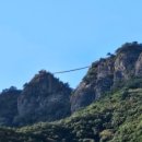 우래한우 이미지