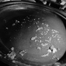 우가닭한마리 이미지