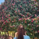 한진숙헤어샵 이미지