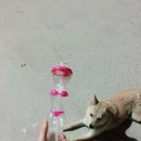 GD동물병원 이미지