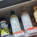 진성편의점 | 편의점 음료 후기 카페 진정성 말차라떼, 로얄 밀크티