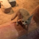 이색뽑기 | [영등포] 커플 실내 이색 데이트 추천 🦦 | '애니멀파크 주렁주렁' | 내돈내산 후기