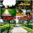 동탄까치공인중개사사무소 이미지