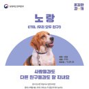 꽃길걷개 이미지