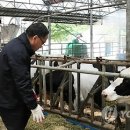 고지리보촌마을