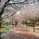 원적산공원 이미지