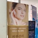 리리스 에스테틱