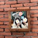 서울태평로우체국 | [국내/대전] 친구들과 대전 당일치기 여행 (성심당, 태평소국밥, 커피인터뷰, 솔루나 카페, 광천식당)