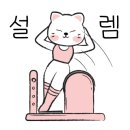 솔리드필라테스