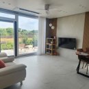 스테이 도채비꽃 이미지