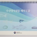 국립수산과학원남동해수산연구소 이미지