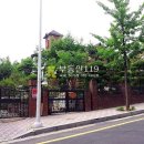야탑로231번길 Daum카페