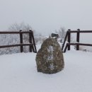 허브밸리(주차장 버스) 이미지