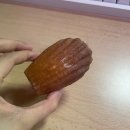 여름밤, 그림책 도깨비캠프 | 새소리 휘휘휘 봄 색깔 🌿