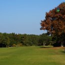 경상누리 | 제주도 골프장 부킹 접근성 좋은제주 오라cc 예약 후기