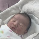 인정병원 화장실 | [임신끝] 은평구 인정병원 출산 후기 : 출산, 유도분만, 자연분만 후기