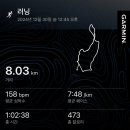 라이프러너