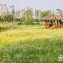 서해대로94번길 이미지