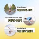 볼터아크로바틱센터 이미지