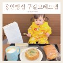 구갈브레드랩