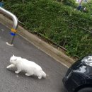 훈민사 이미지