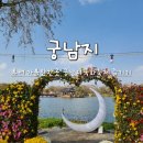 궁남지 서문주차장 | 부여 가볼만한곳 가을 궁남지 국화축제 마지막날 즐긴후기