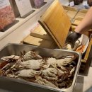 사이다소프트 | 판교 뷔페 마키노차야 후기, 가격, 메뉴 추천, 런치 디너 차이