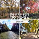 천년의 정원 | 경주 가을 단풍여행 3곳 불국사, 대릉원, 천년 숲정원 다녀온 후기