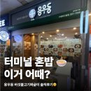 용우동 | 수원터미널맛집 용우동 혼밥, 버섯불고기짜글이 직접 먹어본 후기