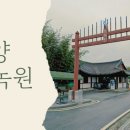 담양체육관 | 담양여행 필수코스 죽녹원에서 즐기는 죽림욕