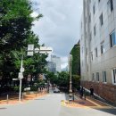 정오의 태양 발전소 | 서울시립미술관 <80도시현실> 전