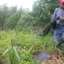 다솜농장 이미지