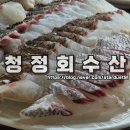 명성자동차공업(주) | 전주 덕진구 금암동 참돔 숙성회 최고 맛집 청정회수산 이용 후기