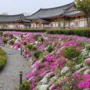 가평한옥펜션 이미지