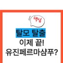 유진환경 | 🔥유진페르마샴푸 ? 탈모 고민이라면 적극추천합니다.🔥