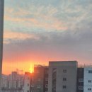 정자천로134번길 이미지