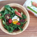 수란농장 이미지