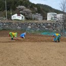 팔랑포마을 이미지