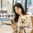박효리군 동물병원 | 강아지 병원비 가기 전에 알 수 있을까? 동물병원 진료비 미리 확인해봤어요