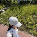 대구 봉산동 신상 브런치 카페 콘크리트플라워 샌드위치 먹고 왔어요