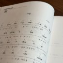 26년 6월 : 무한도전런, 대구 여행, 잘먹잘운, 서울 흐르는 광장